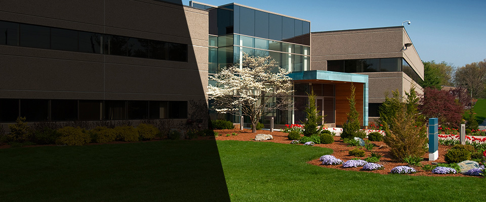 Pawleys Island Landscapers