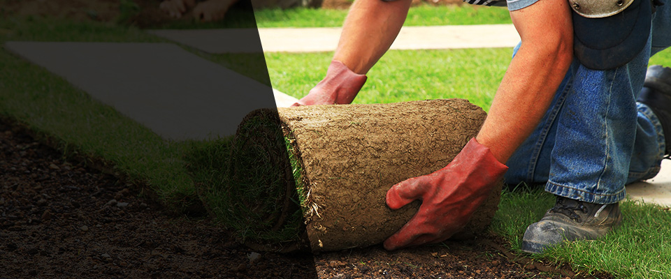 Pawleys Island Landscapers